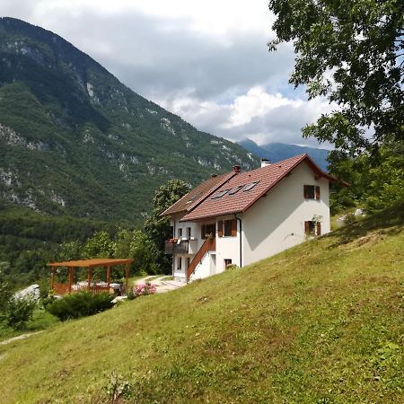 Apartma Elizabeth Lägenhet Srpenica Exteriör bild
