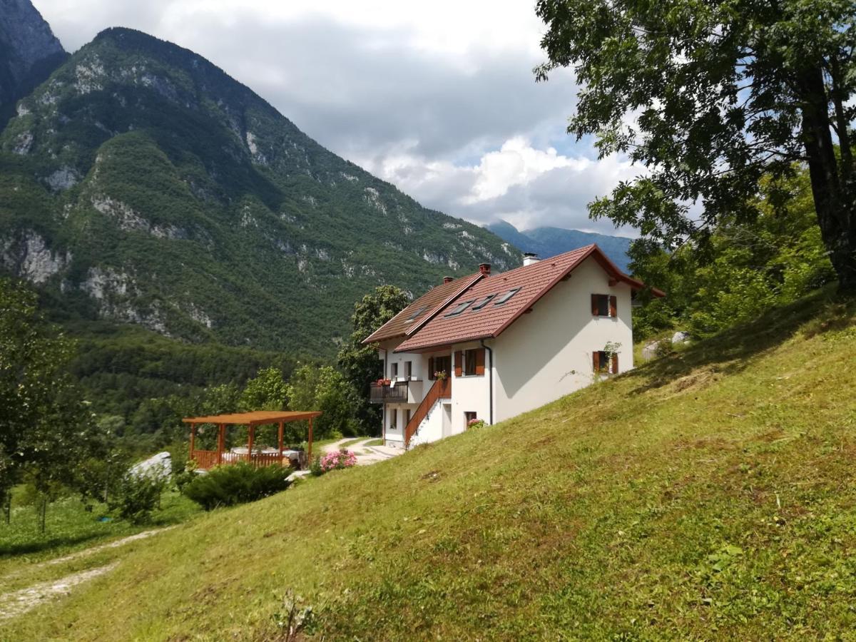 Apartma Elizabeth Lägenhet Srpenica Exteriör bild